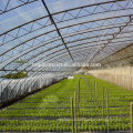 Popular products bottom price crop cover plastic film for greenhouse